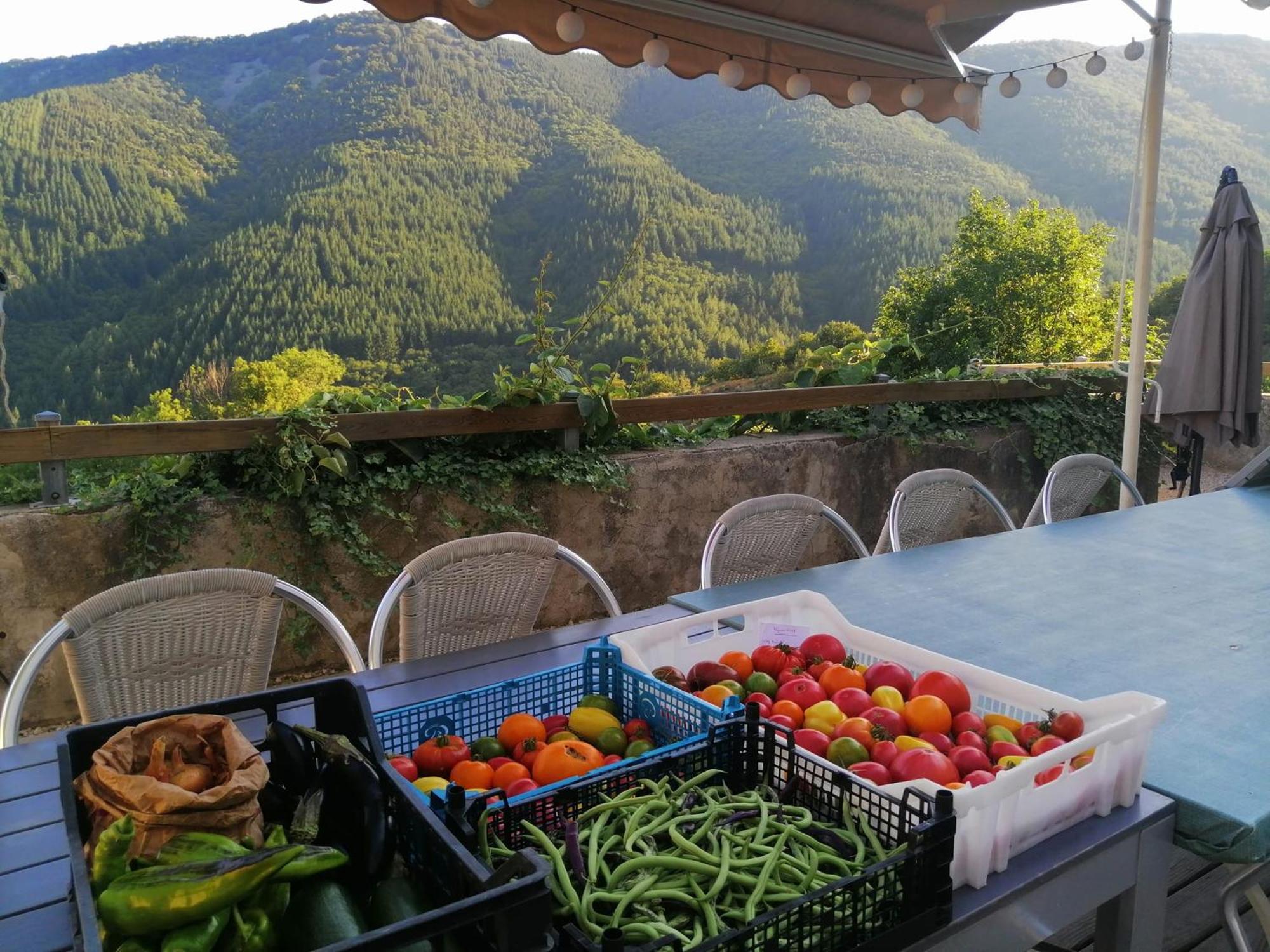 Les Chambres De La Ferme De Chalas Valgorge Zewnętrze zdjęcie