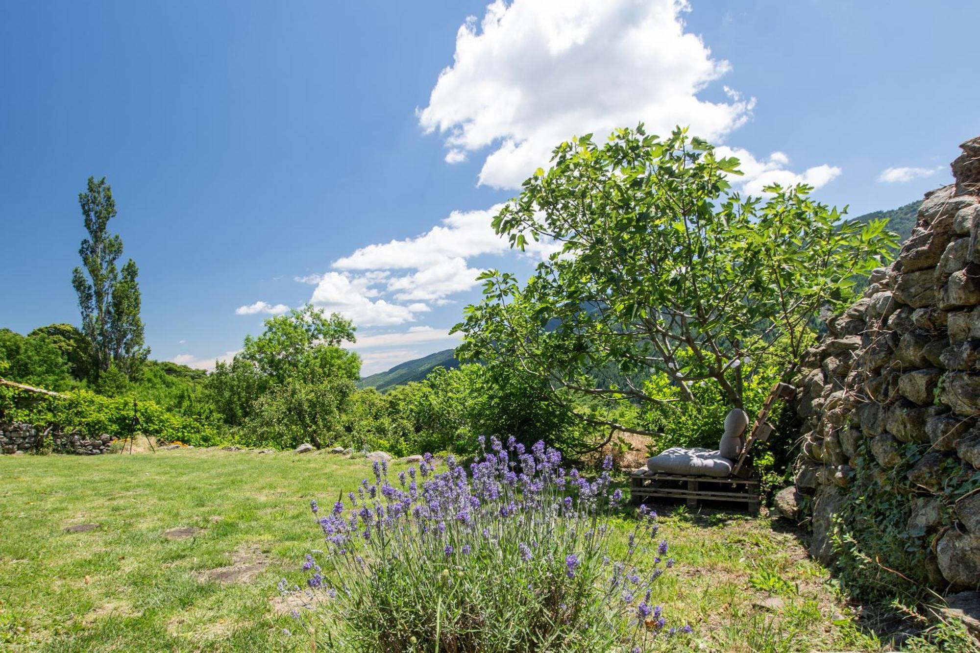 Les Chambres De La Ferme De Chalas Valgorge Zewnętrze zdjęcie