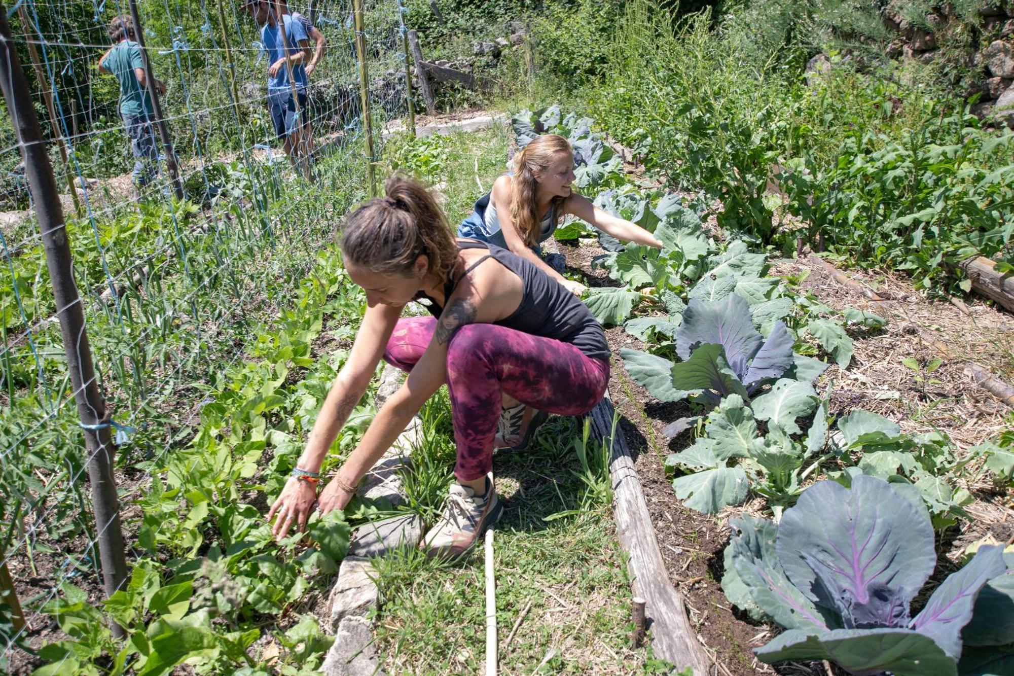 Les Chambres De La Ferme De Chalas Valgorge Zewnętrze zdjęcie