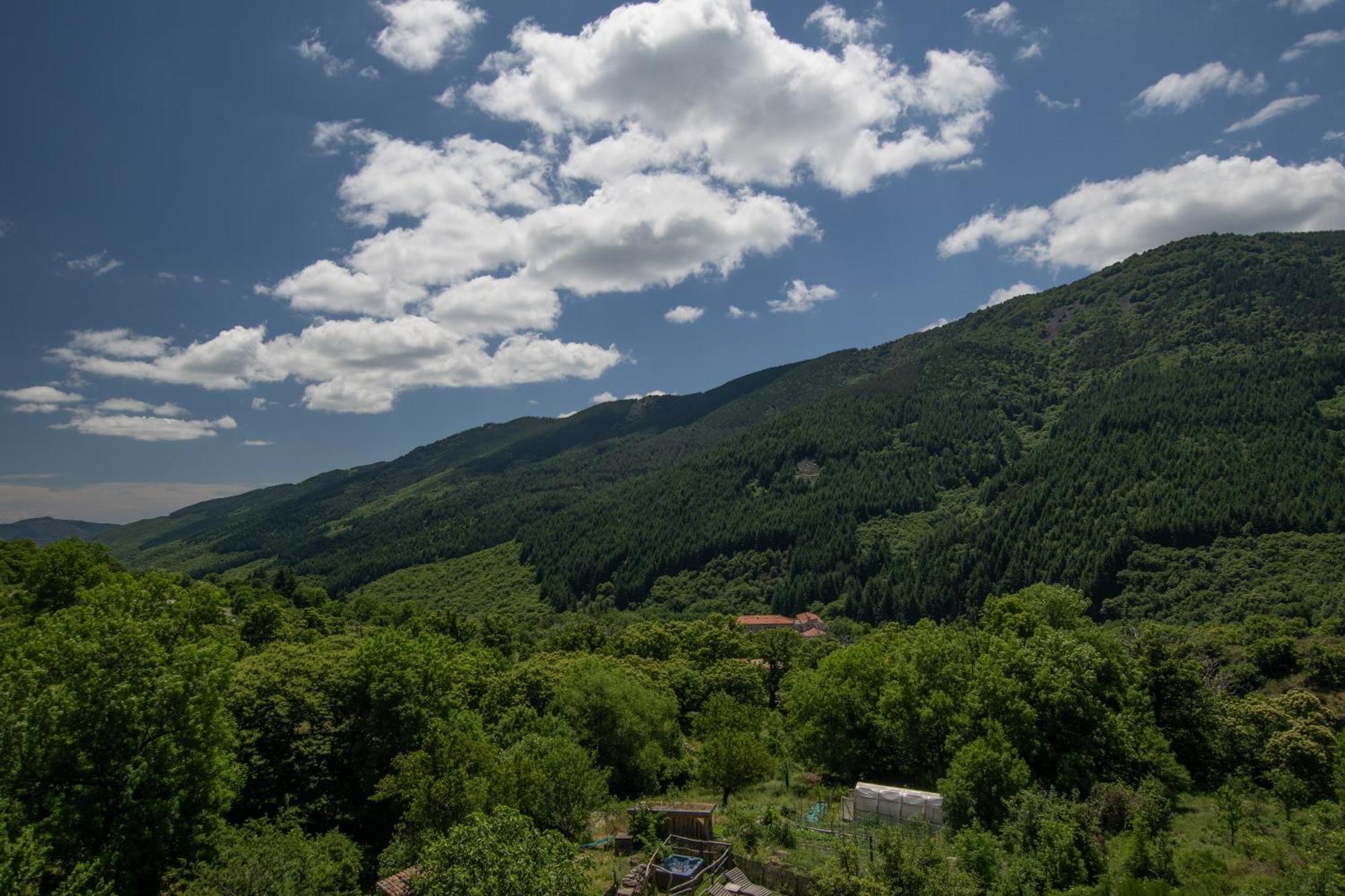 Les Chambres De La Ferme De Chalas Valgorge Zewnętrze zdjęcie